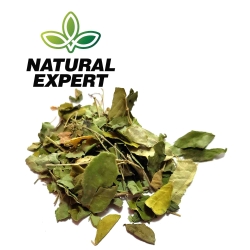 MORINGA OLEIFERA LIŚĆ 50g