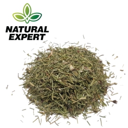 SKRZYP ZIELE 100g