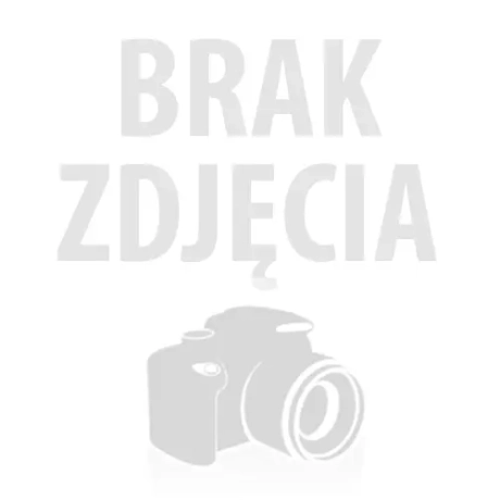 ŚWIĄTECZNA MIESZANKA KOMPOTOWA 1kg