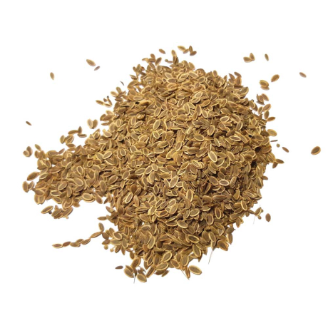 NASIONA KOPRU OGRODOWEGO 50g