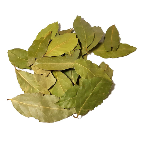 LIŚĆ LAUROWY 500g