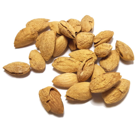 MIGDAŁY PRAŻONE SOLONE W ŁUPINIE 5kg