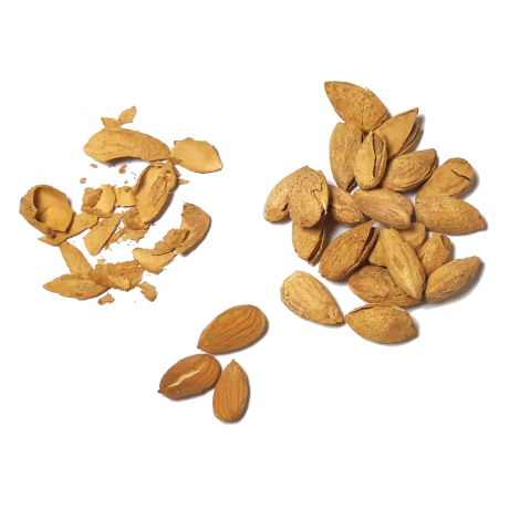 MIGDAŁY PRAŻONE SOLONE W ŁUPINIE 500g