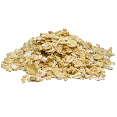 PŁATKI OWSIANE GÓRSKIE 500g