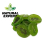 KIWI PLASTERKI KANDYZOWANE 500g