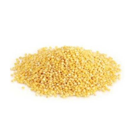 KASZA JAGLANA 1kg